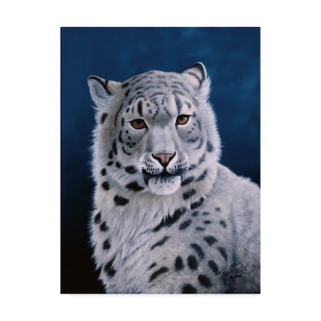 Wilhelm Goebel 'Young Snow Leopard' Canvas Art,14x19